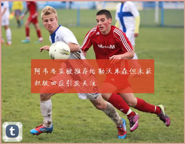 阿韦洛亚被推荐给勒沃库森但未获积极回应引发关注
