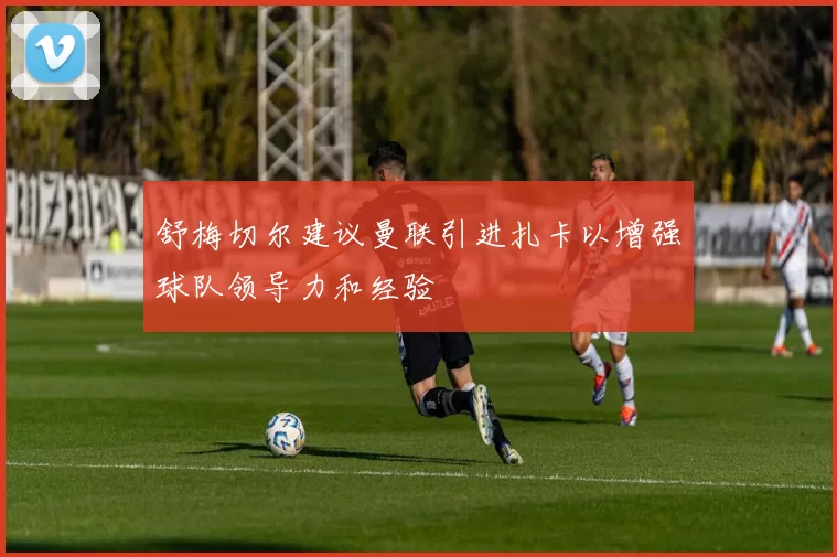 舒梅切尔建议曼联引进扎卡以增强球队领导力和经验